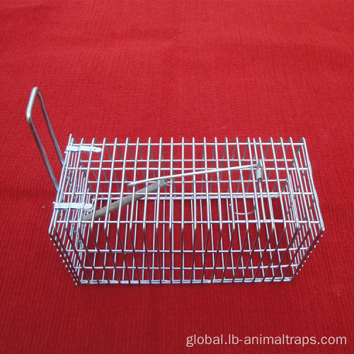 Small Animal Trap Cage Rodent Rat Trap mouse trap cage for house Factory